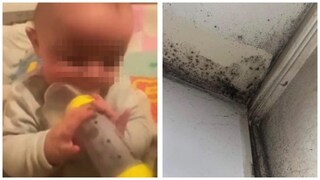Casa infestata da muffa ma nessuno interviene, neonata rischia di morire per insufficienza respiratoria