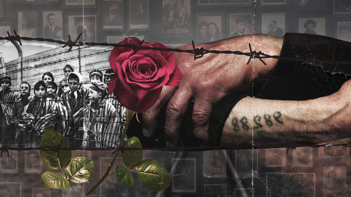 Frasi Per La Giornata Della Memoria Giornata della Memoria 2024, le frasi e le citazioni più significative