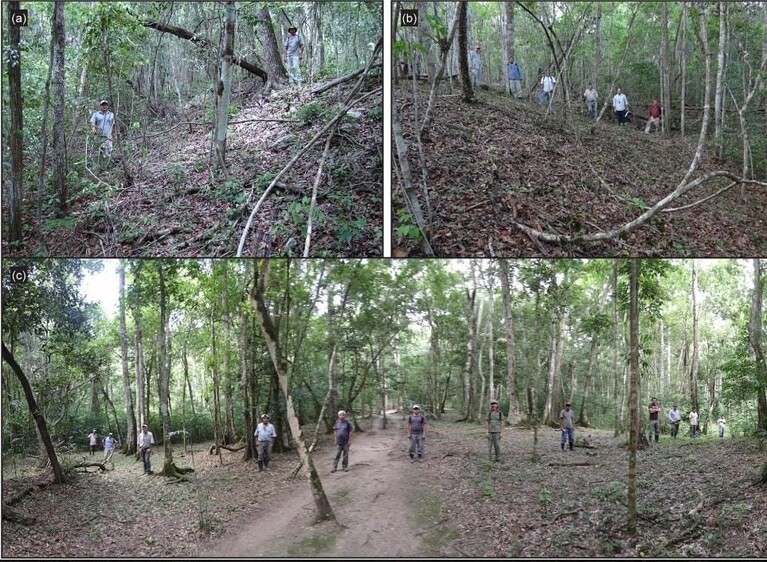 Sentieri della foresta del Guatemala