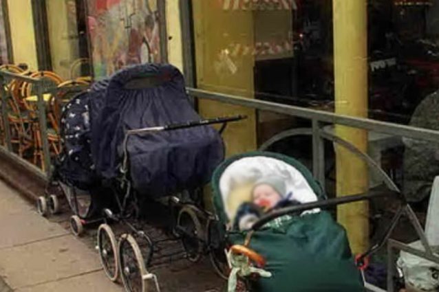 Nel ristorante sì ai cani ma no ai neonati, cacciati via dal locale perché hanno bimbo di 6 mesi