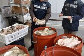Carne e interiora senza tracciabilità a rischio Listeria, chiuso stabilimento a Palermo