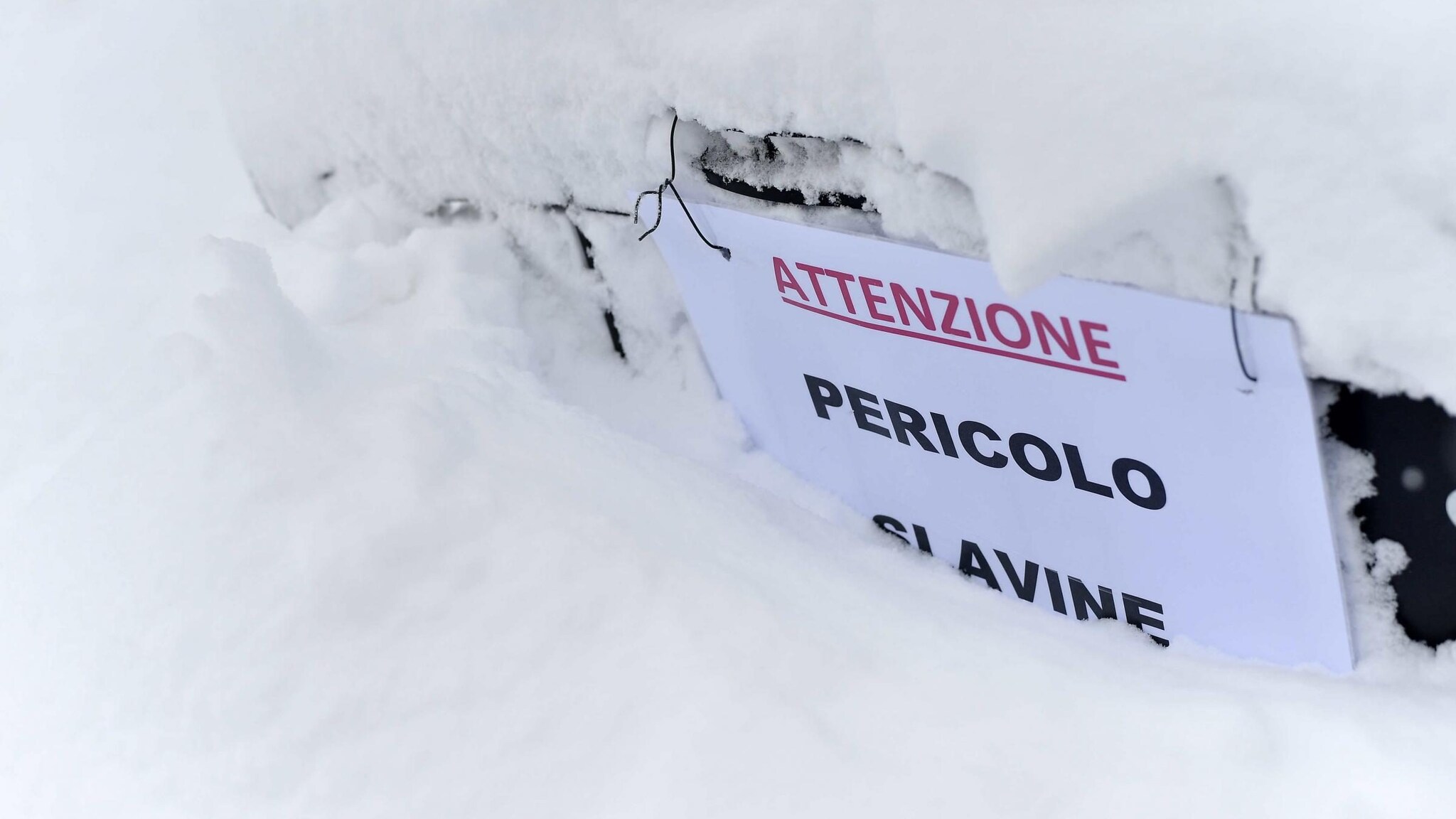 Immagine