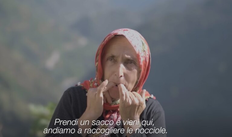 Immagine