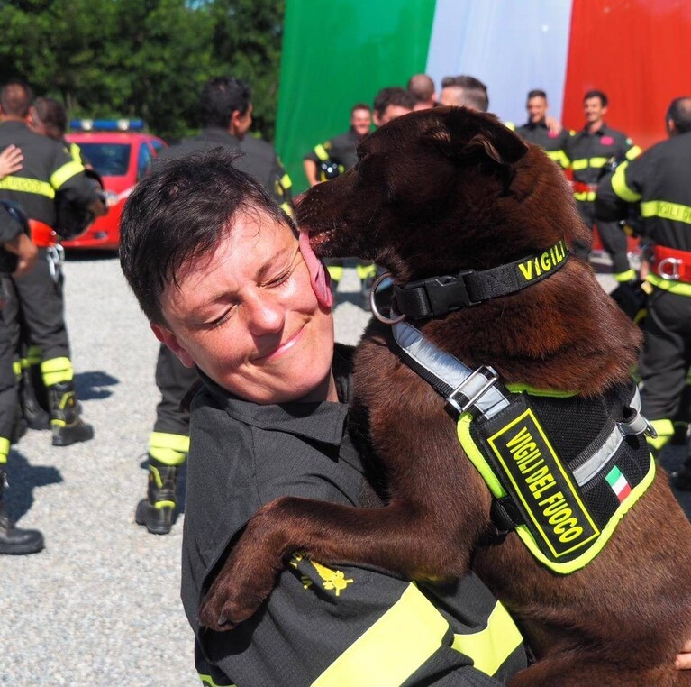 Immagine