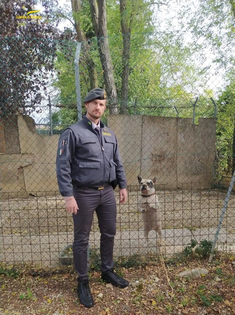 Immagine