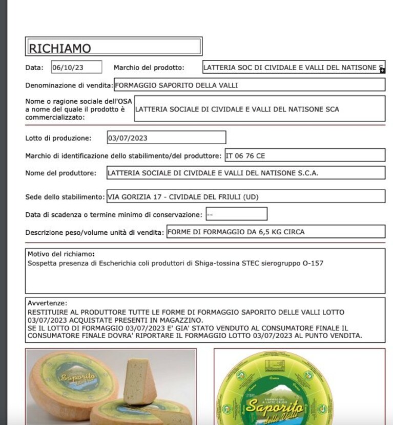Immagine