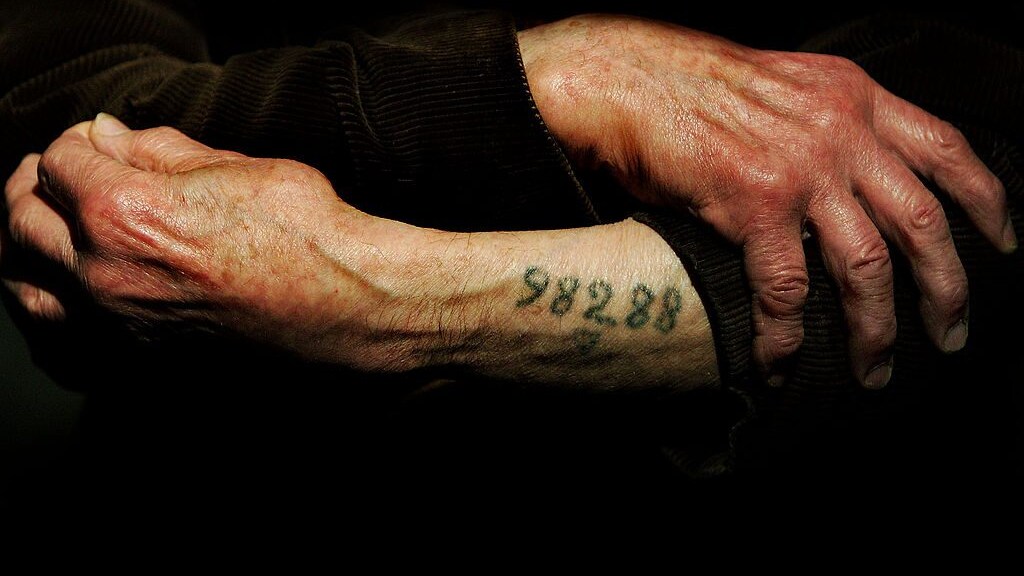 Immagine