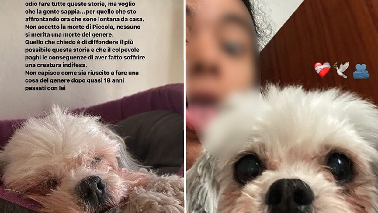 Immagine