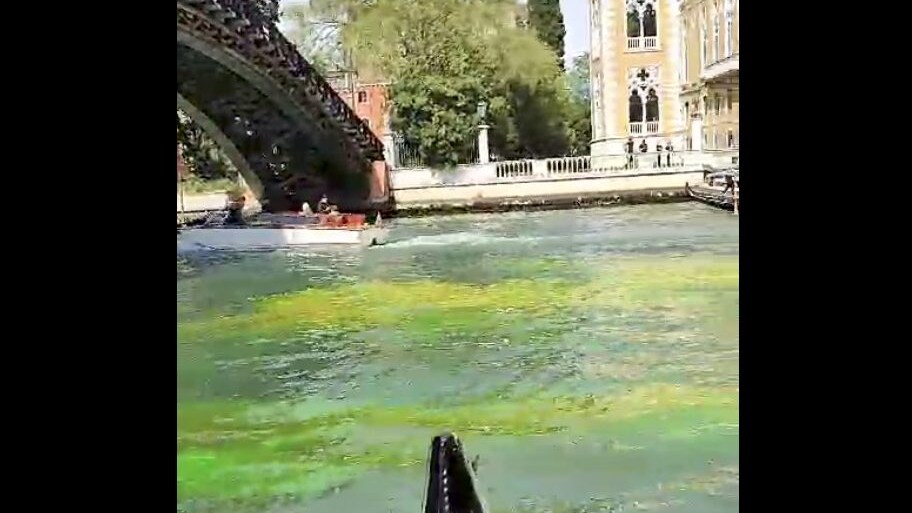 Screen da Facebook (Venezia NON è Disneyland)