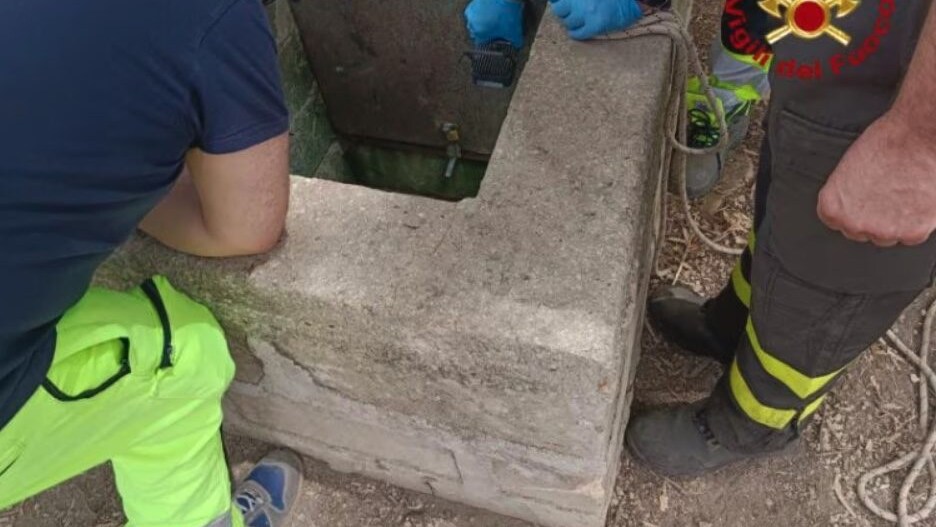 Immagine di repertorio.