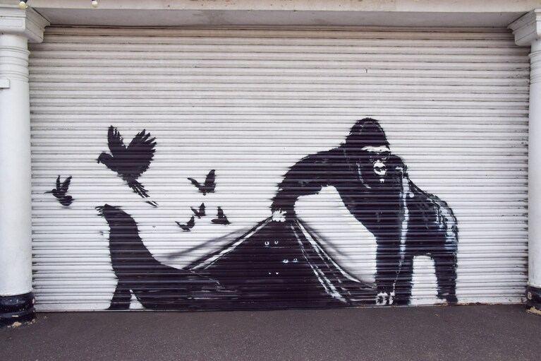 Immagine
