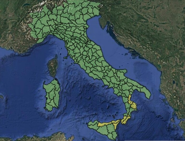 Immagine