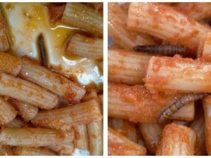 Giudice annulla il licenziamento delle addette mensa per larve nella pasta