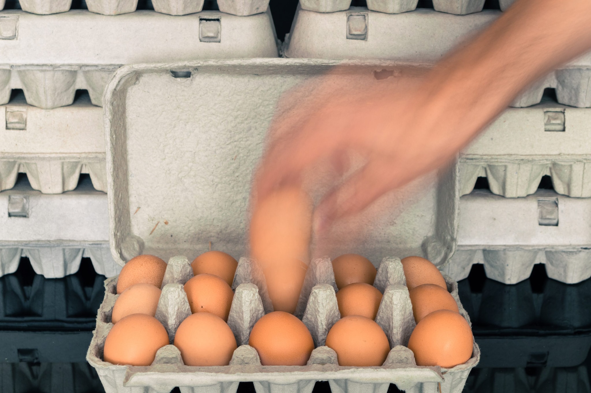 Uova fresche ritirate dal commercio per rischio microbiologico, l’allerta: “Non consumatele”