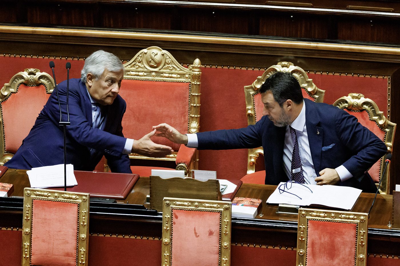 Immagine