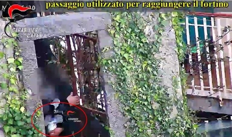 Immagine
