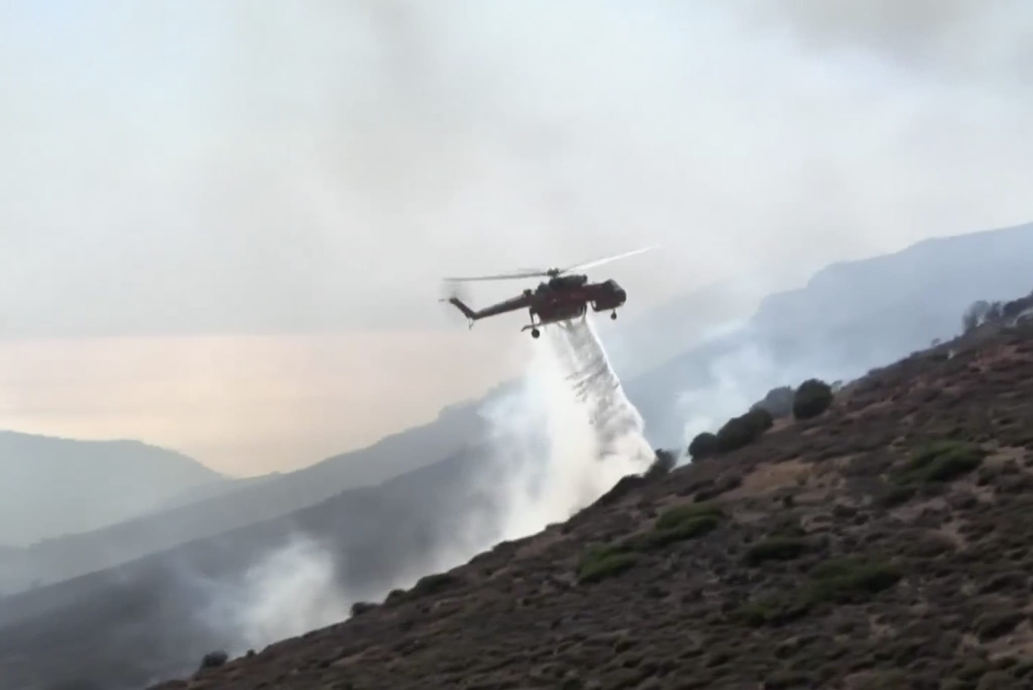 Case distrutte, in cenere campi e uliveti: violento incendio divampa in Grecia, evacuazioni a sud di Atene