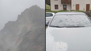 BUCATSTATE Biancheria Da Letto Per Criceti, 70 L, 99% In Carta Anti-polvere, Controllo Degli Odori, Comoda Lettiera Per Piccoli Animali Per Conigli, Ratti, Criceti Siriani, Nani, Gerbilli (lavanda