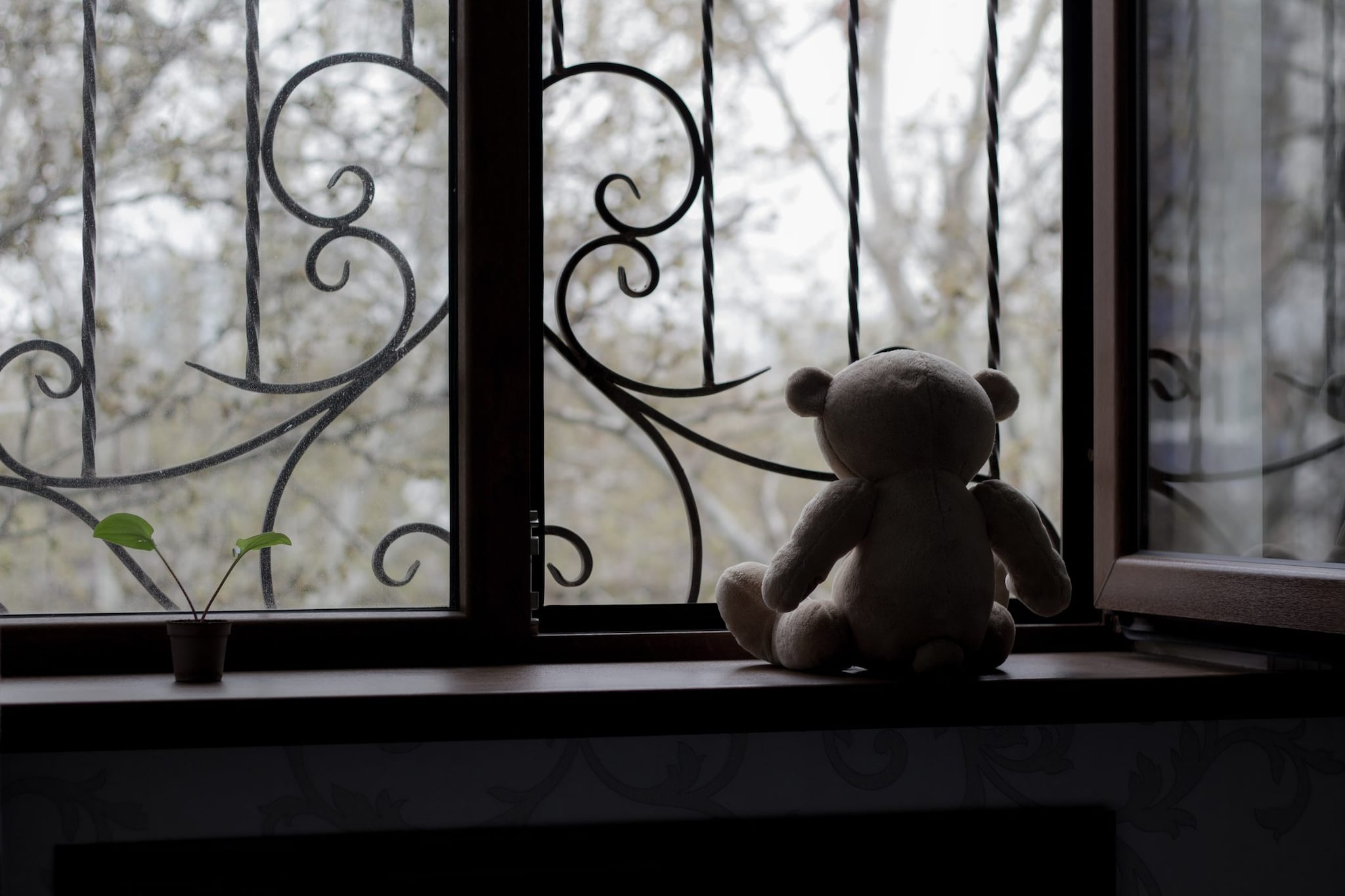 Bimbi fantasma di Lauriano, il papà li rivuole: “Abbiamo soldi e non sono un paranoico, combatterò per loro”