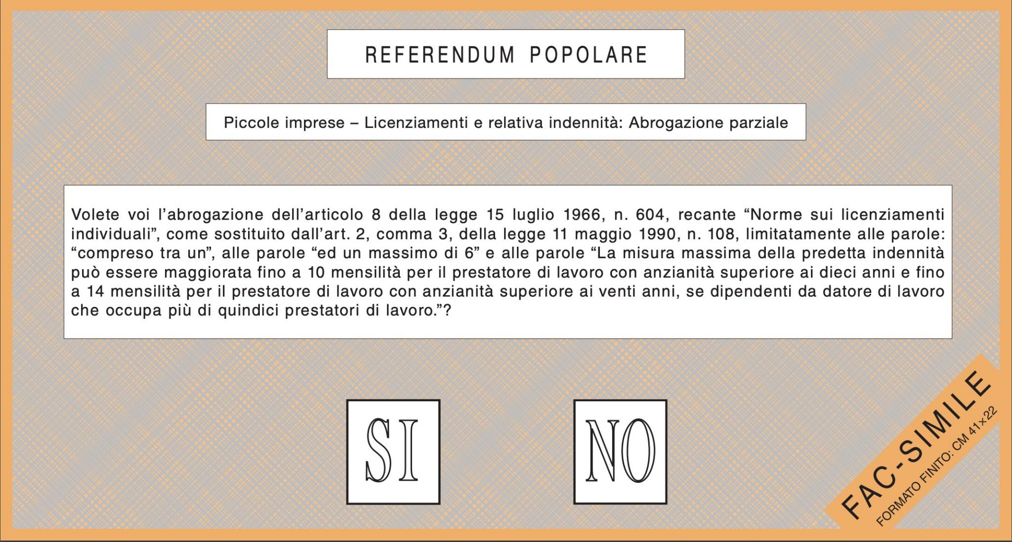Referendum 2025, come e per cosa si vota l'8 e 9 giugno: orari, quesiti