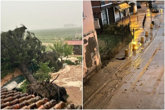 Ondata di maltempo in Piemonte: temporali, grandine e vento fino a 85 km/h, allagamenti e alberi caduti