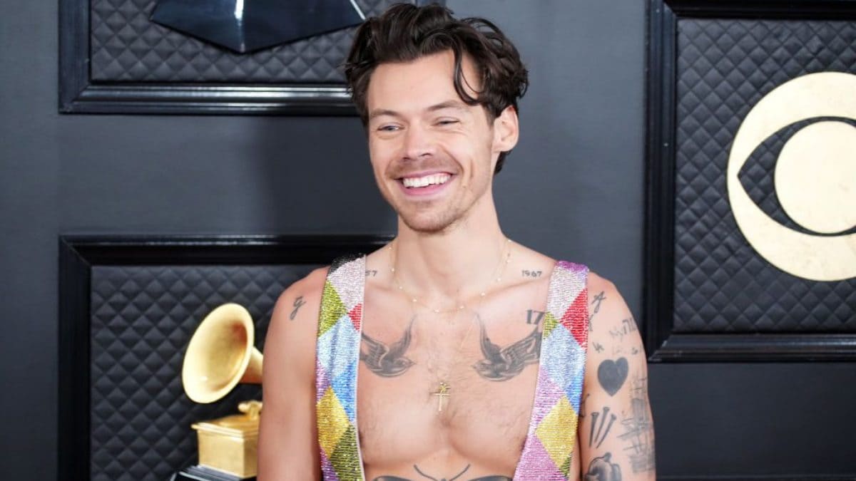 Harry Styles ha ideato una linea di sex toys, il nuovo progetto del cantante si chiama Pleasing Yourself