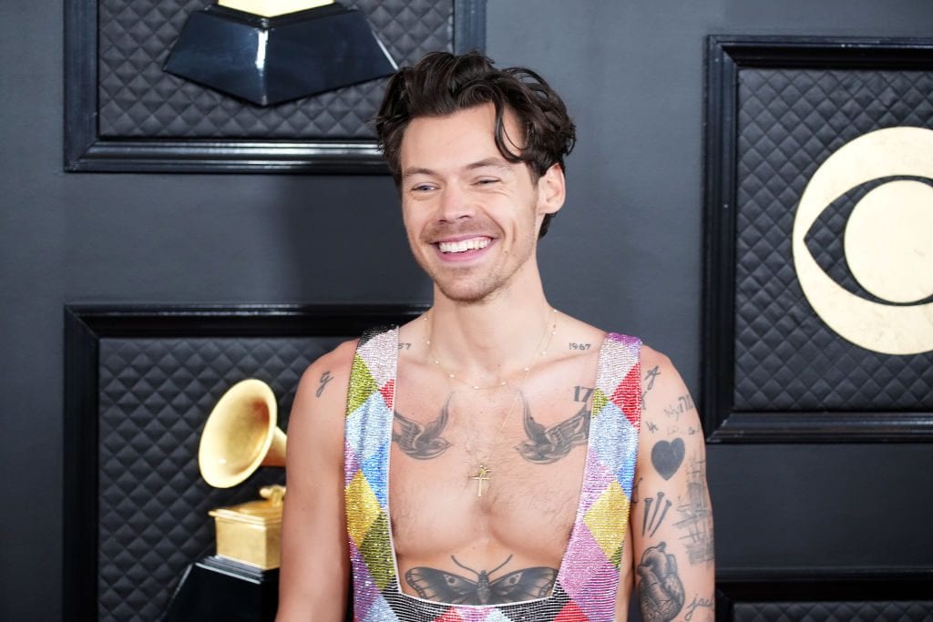 Harry Styles ha ideato una linea di sex toys, il nuovo progetto del cantante si chiama Pleasing Yourself