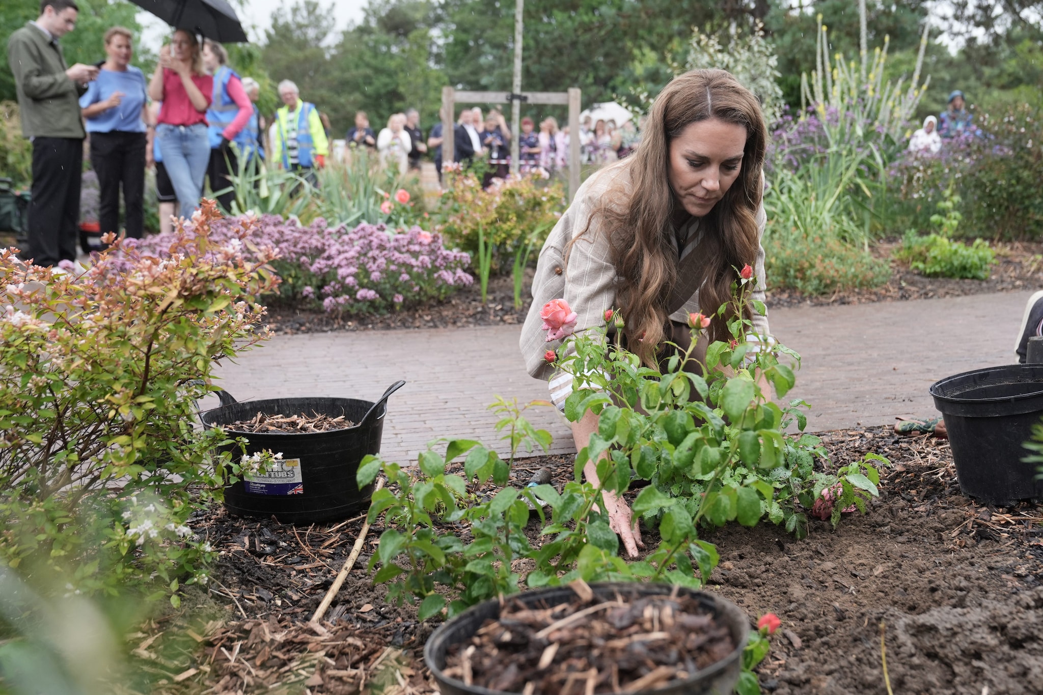 L’RHS Wellbeing Garden dell’ospedale di Colchester