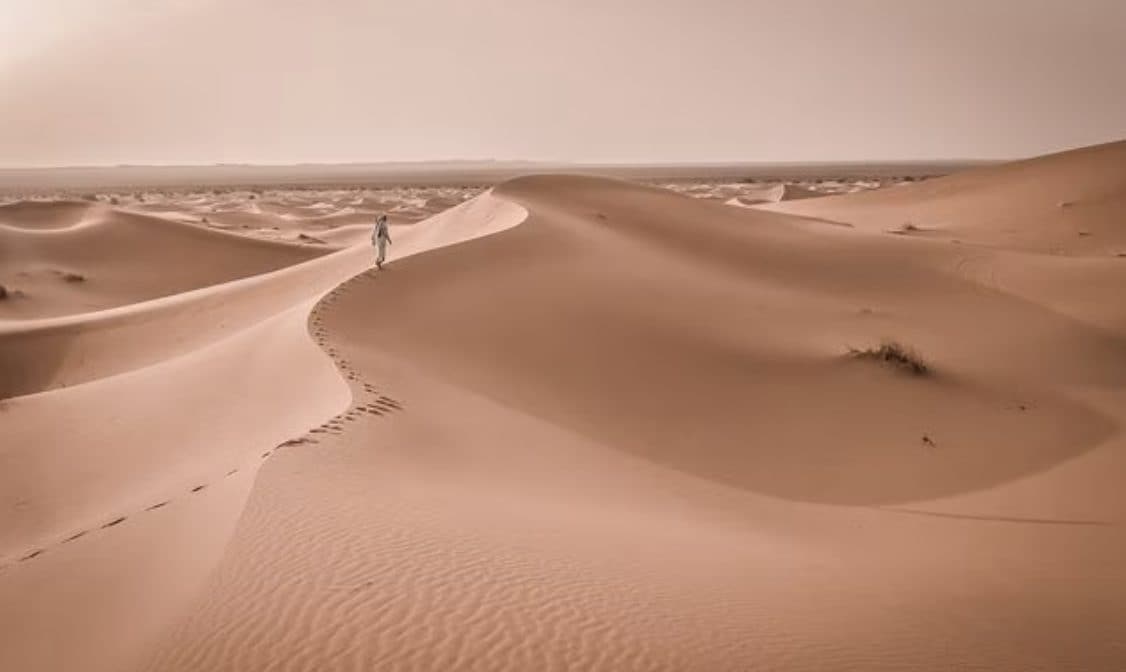 "Vogliono andare nel deserto e sacrificare il figlio": genitori di un bimbo di 5 anni sotto accusa in Francia