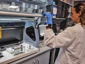 West Nile, parla l&#8217;esperto: &#8220;Questo virus lo conosciamo bene. Niente panico, non è una pandemia&#8221;