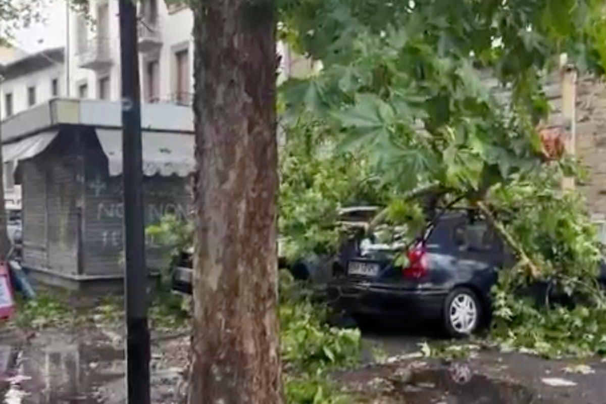Forte temporale a Firenze, strade allagate e alberi caduti: "Massima attenzione vicino ai torrenti"