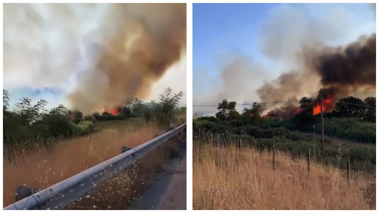 Crotone, in 245 evacuati da villaggio turistico per enorme incendio a Cirò Marina: “Fiamme improvvise e paura”