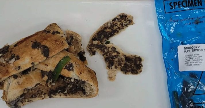 Filetto ai funghi velenosi: le foto dei piatti con cui Erin Patterson ha ucciso la famiglia dell'ex marito