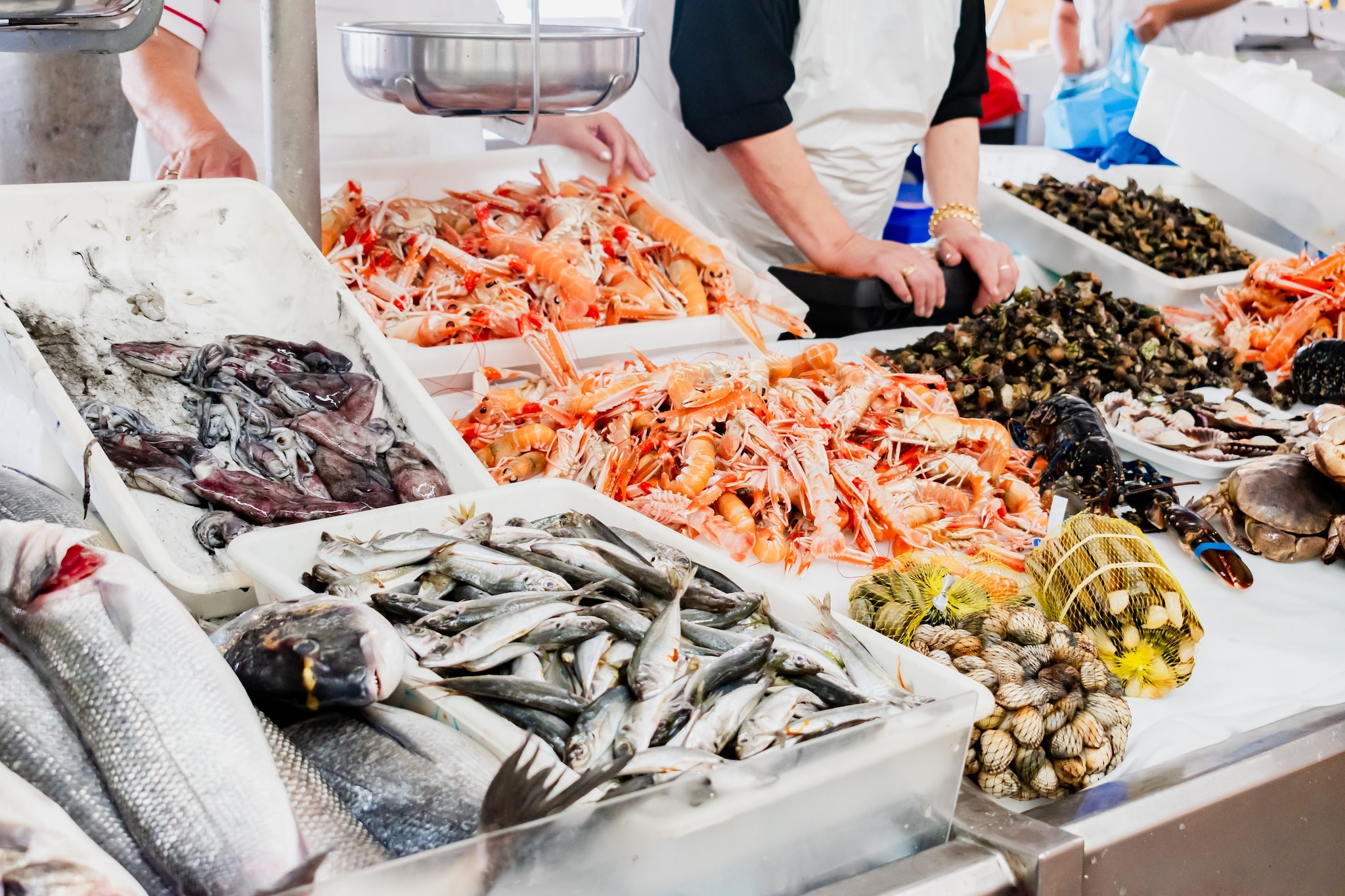 Maxi-controlli della Guardia Costiera in Romagna: 15 tonnellate di pesce sequestrato e multe per 170mila euro