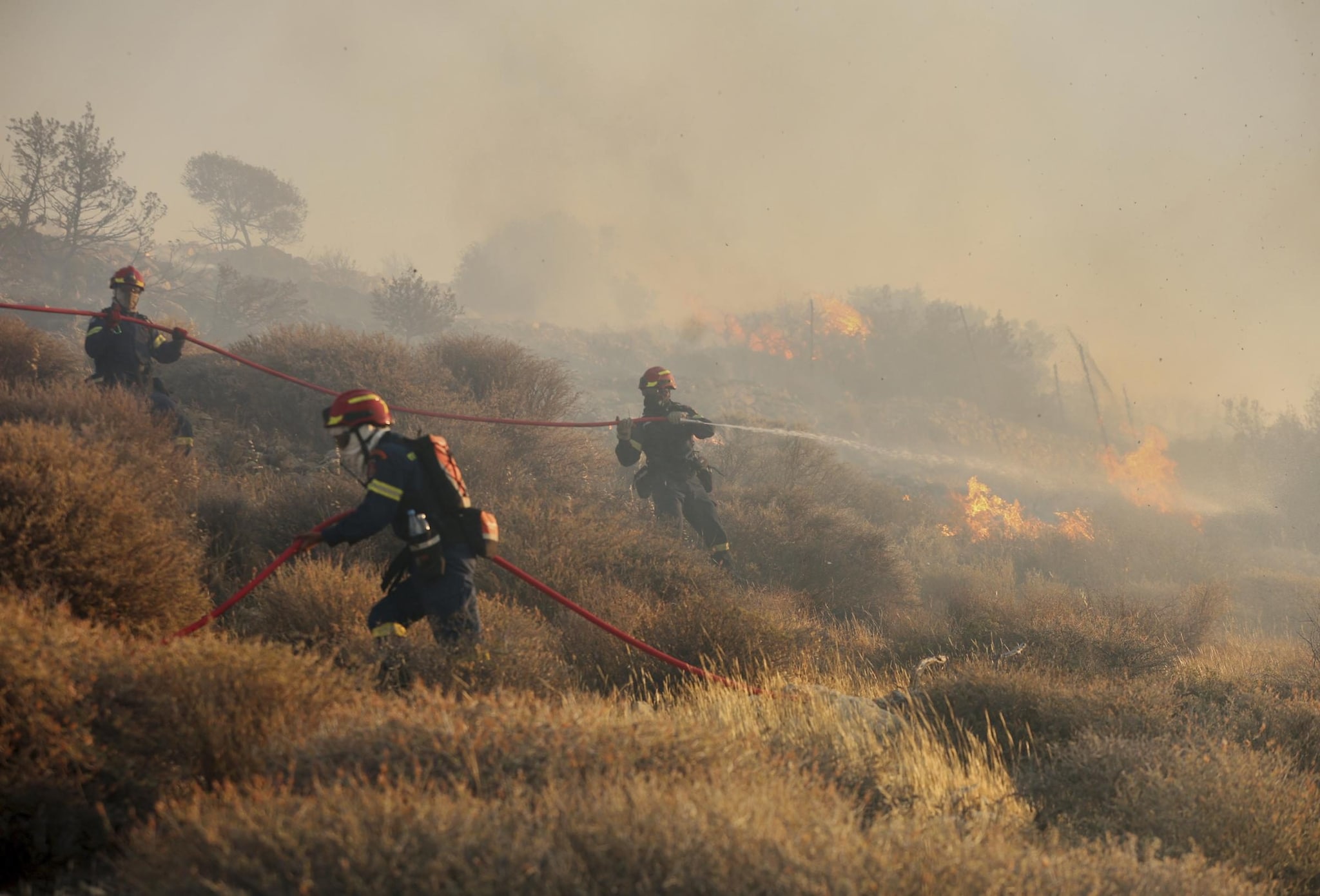 Incendi a Creta, il racconto di un turista italiano: "Fiamme sempre più vicine, siamo scappati"