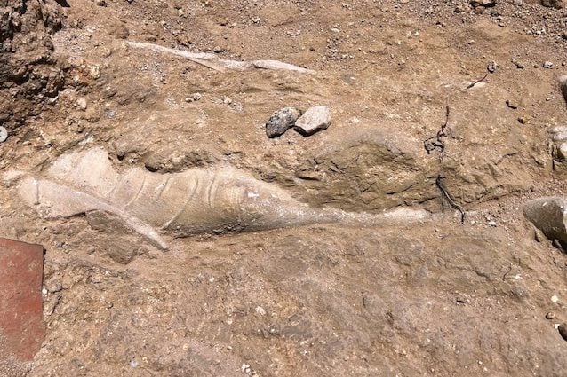 Il reperto archeologico trovato a Mozia
