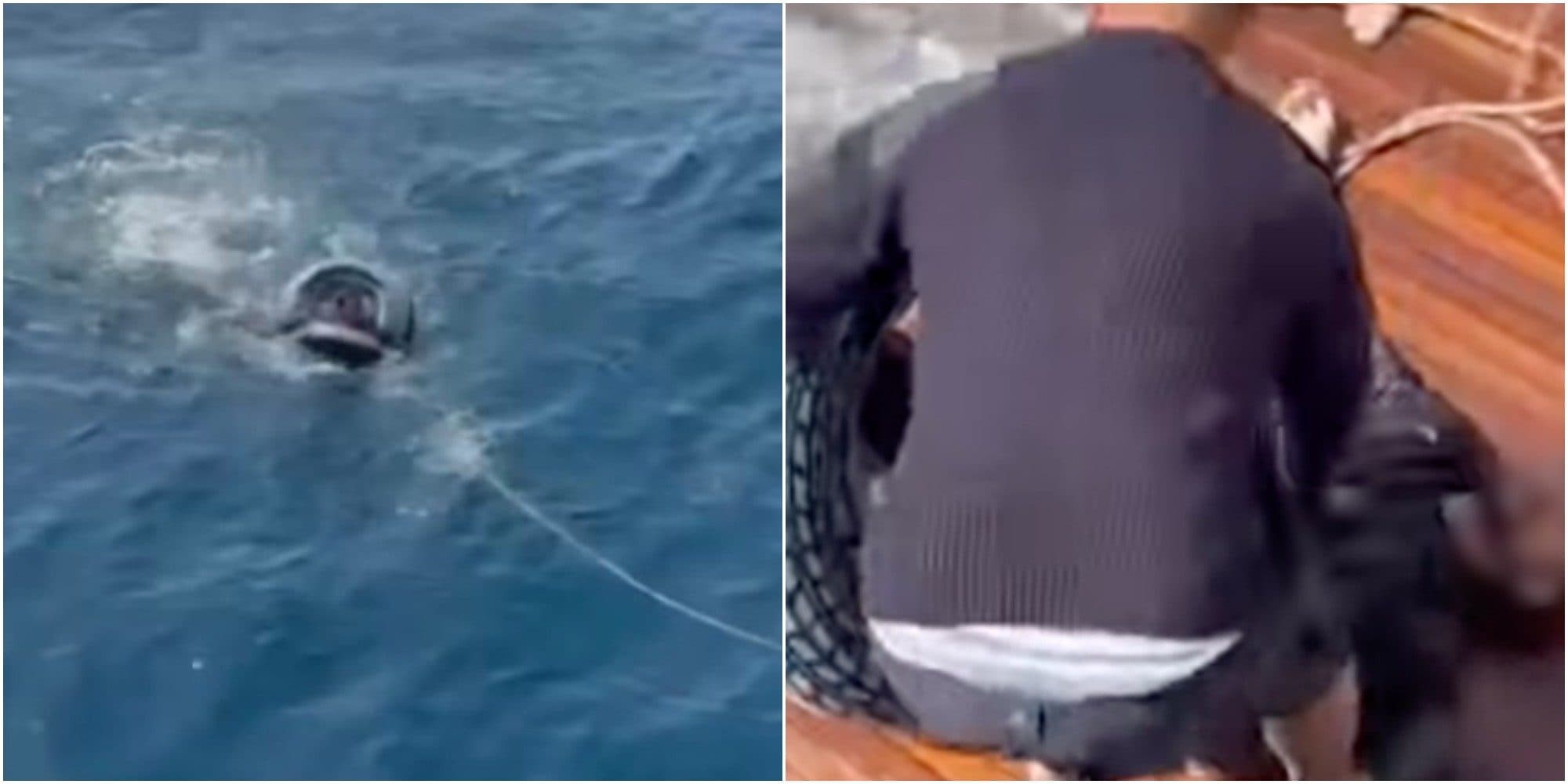 Cerca di raggiungere la Spagna dal Marocco con salvagente e pinne: una famiglia lo salva sul suo yacht