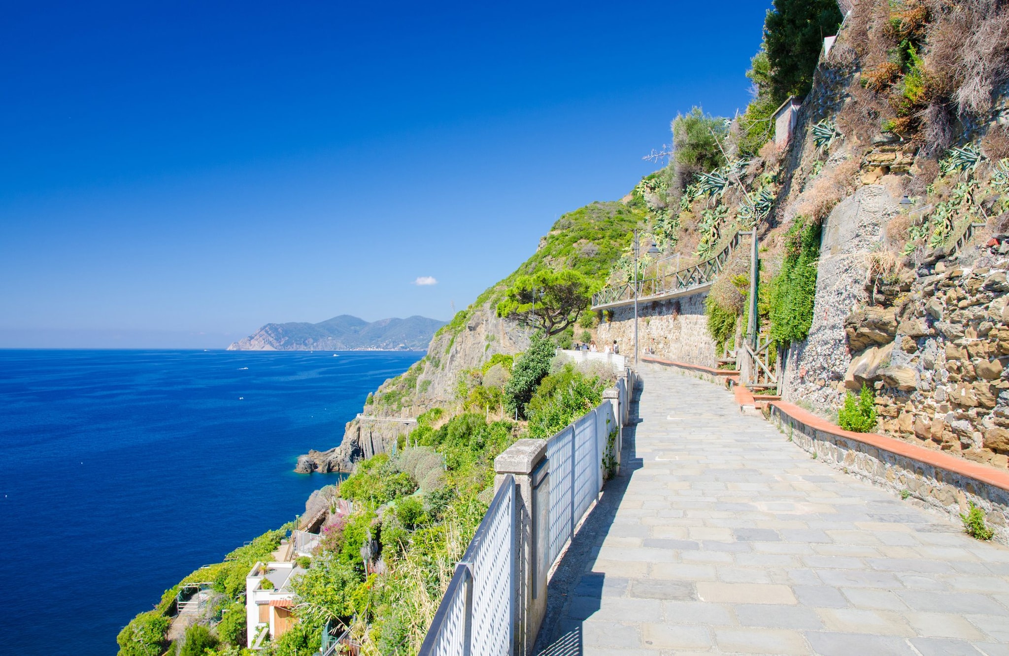 Si tuffa in mare da via dell’Amore dopo lite con la fidanzata, turista 26enne muore alle Cinque Terre