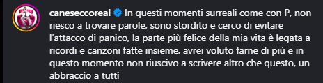 Il commento di Canesecco, via Instagram