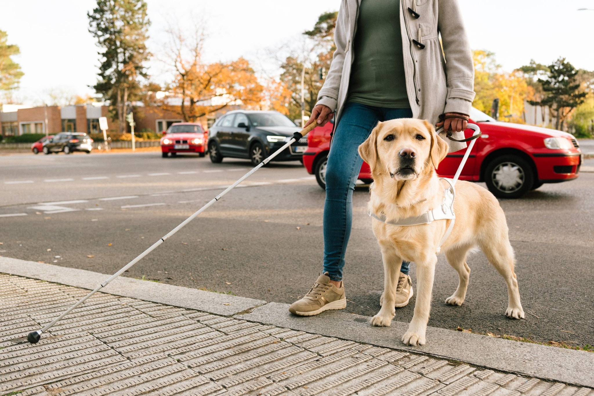 Pescara, tassista rifiuta cane guida sulla sua auto: non vedente lasciata a piedi alla stazione