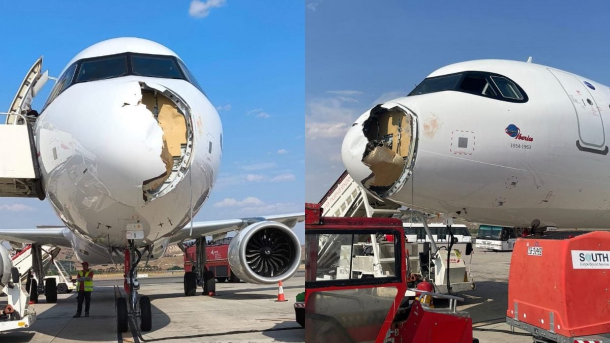 L’aereo Iberia colpito e danneggiato dallo stormo di uccelli.