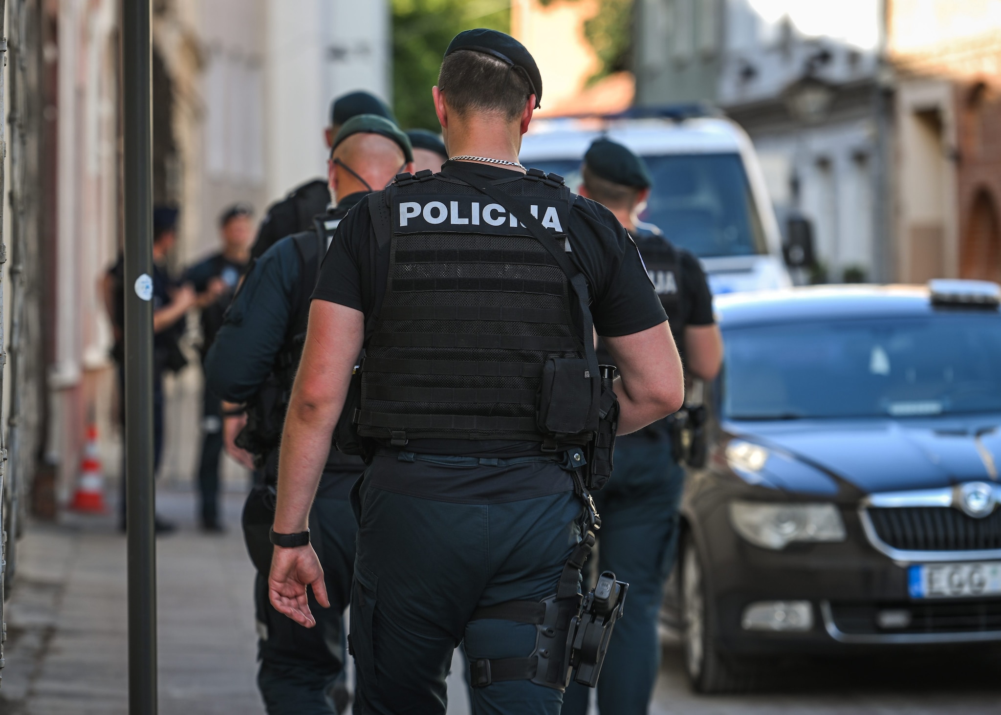 Uccide un ragazzo scomparso, poi fa a pezzi e dà alle fiamme il corpo: arrestato 15enne in Lituania