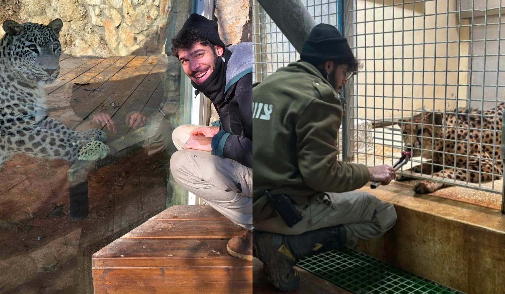Leopardo fugge dal recinto e aggredisce dipendente di uno zoo a Gerusalemme: morto il 36enne Uriel Nuri