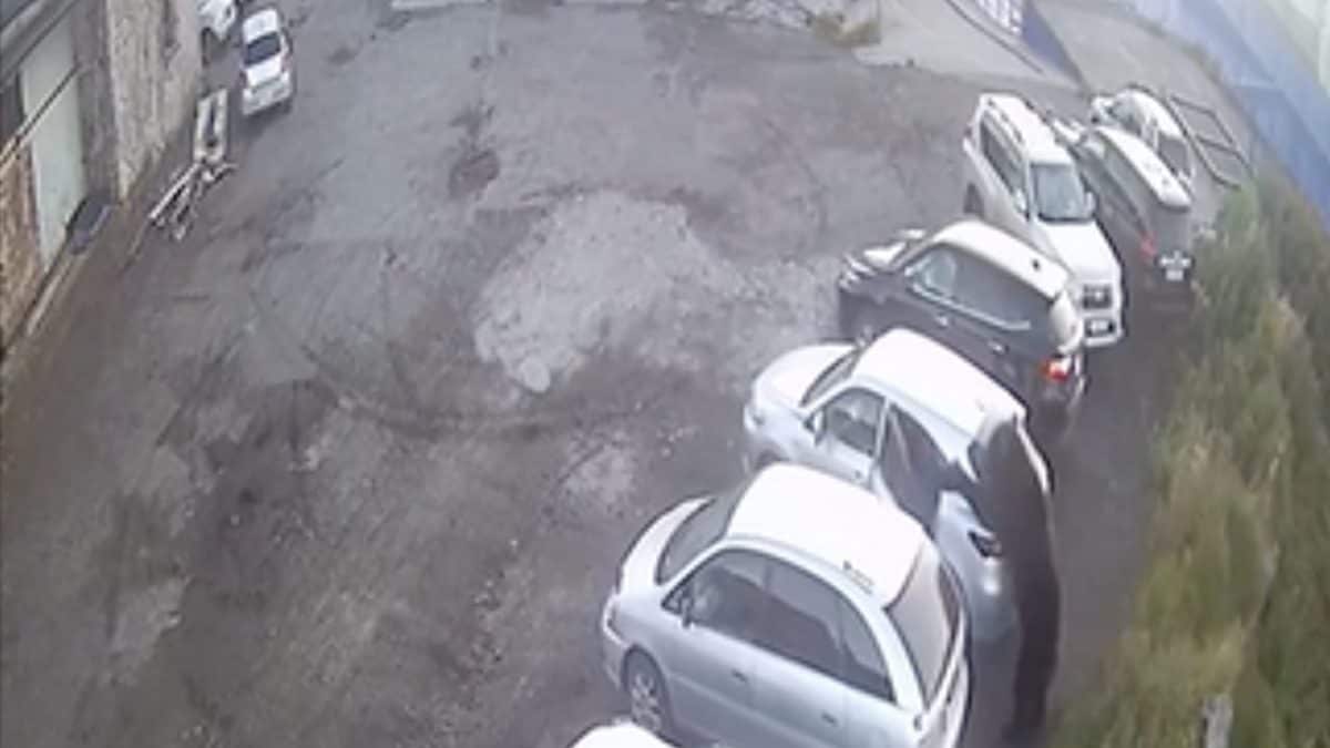 Orso attcca l’uomo, un estratto dal video
