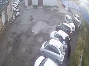 Orso-attcca-luomo-un-estratto-dal-video-300x225.jpg