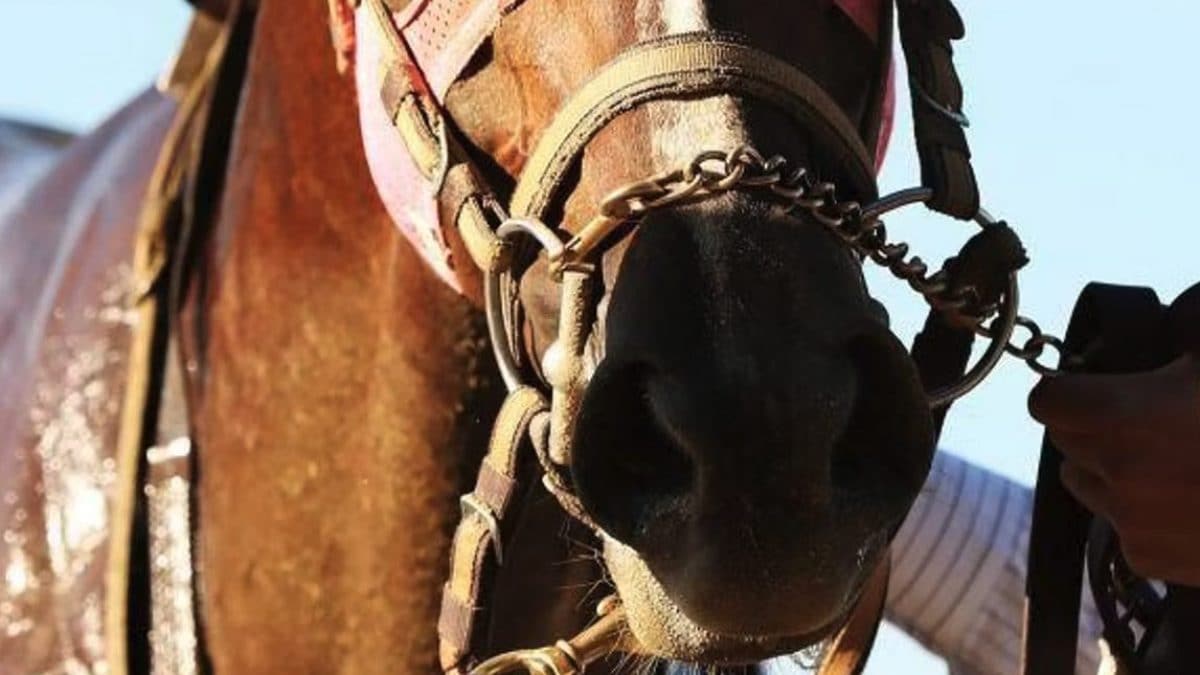 immagine di repertorio