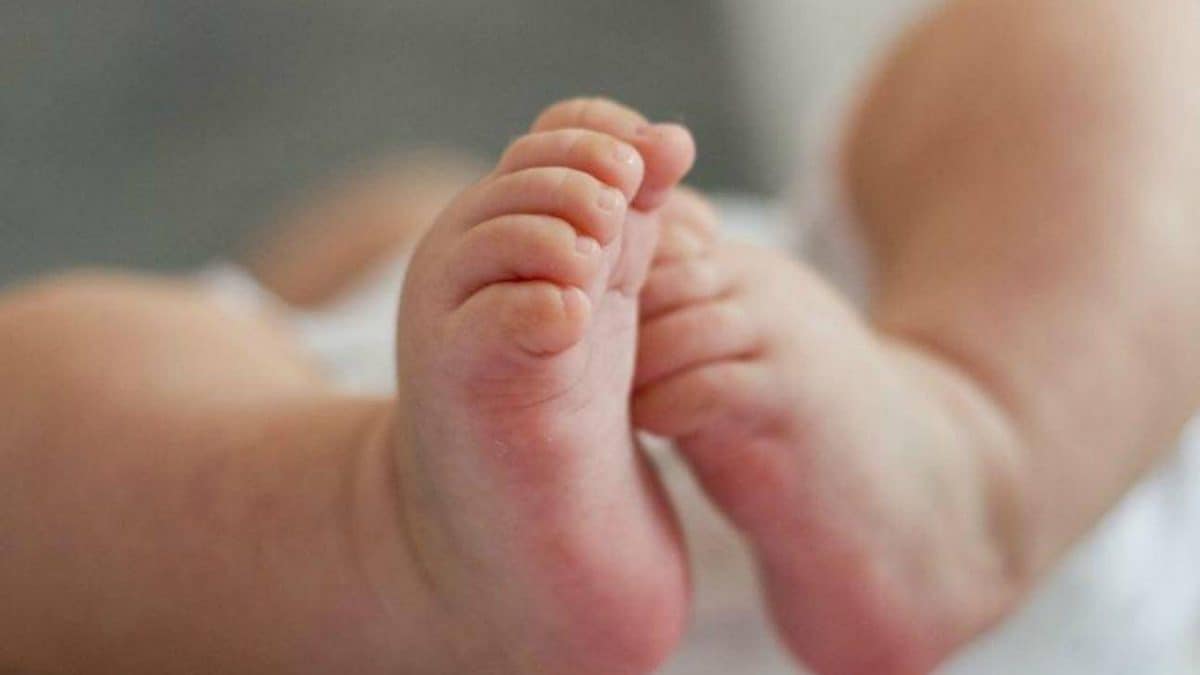 immagine di repertorio