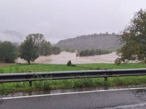 coldiretti1-300x225.jpg
