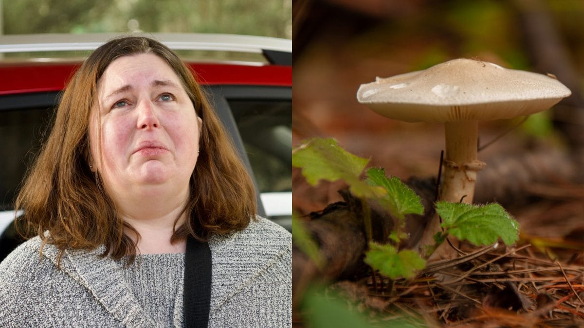 A sinistra, Erin Patterson, 50 anni; a destra, un’amanita phalloides.