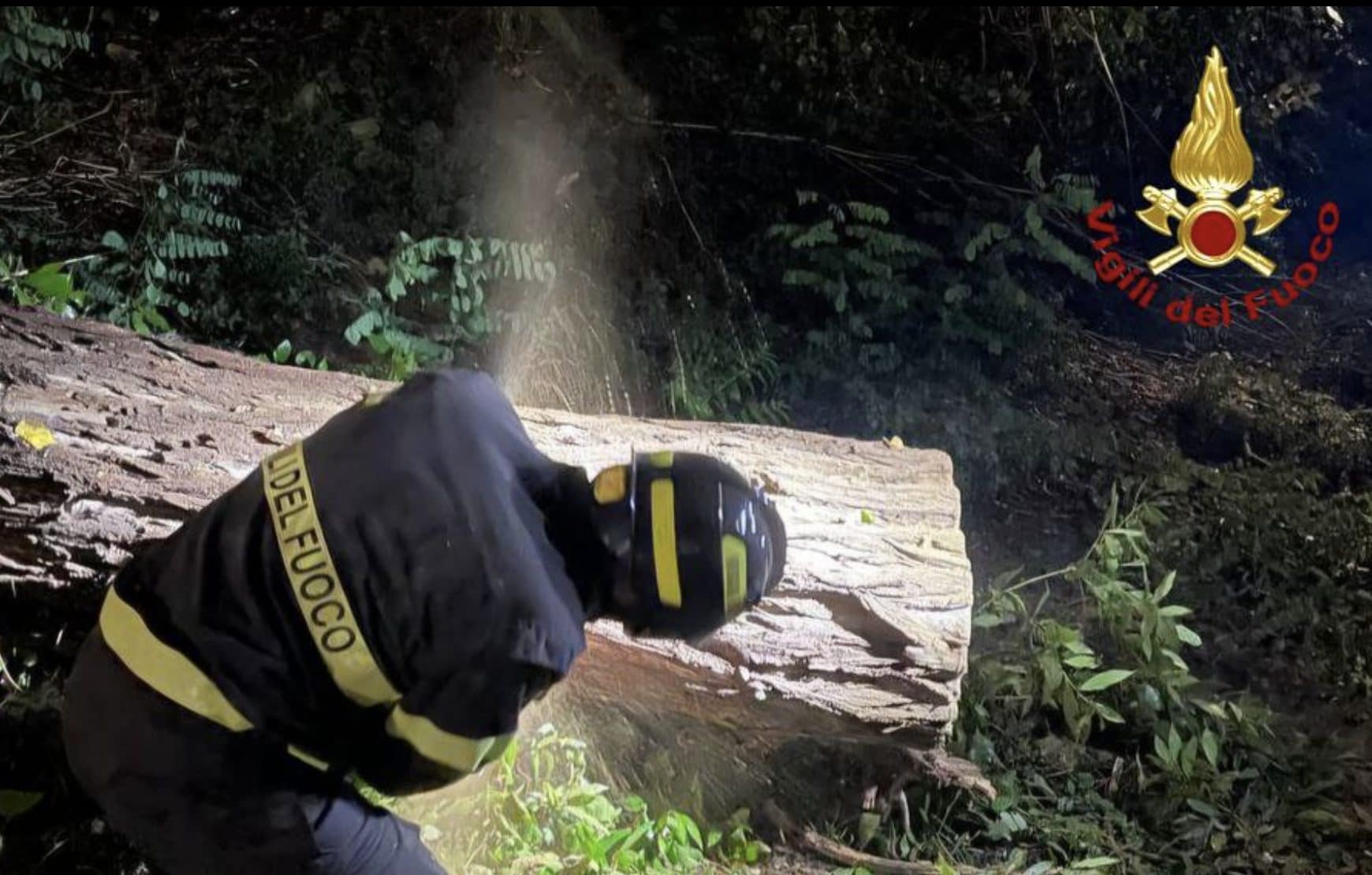 Foto Vigili del Fuoco.